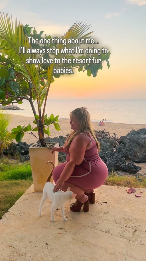 Just trying to make one little cat’s day with some food & gentle touch- because they deserve kindness too 🐈🧡

#CatsOfInstagram #TravelReels #plussizetravel #choosekindness #animallover