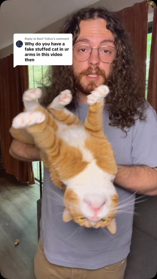 This one is fake #catsofinstagram #orangecat #orangecatbehavior #catdad #orangecatsofinstagram