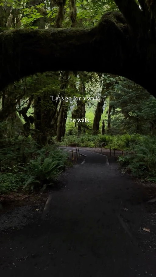 LOCATION DETAILS 🍃⬇️

📍Hoh Rainforest, Olympic National Park

One of the most magical places we’ve ever explored. Towering moss covered trees, lush green ferns, and winding trails make it feel like you’ve stepped into another world.

⭐️ Know before you go:
🌿 The Hall of Mosses Trail is an easy 0.8 mile loop and one of the best ways to experience the rainforest.
🥾 Wear waterproof shoes since the trails can stay muddy year round.
🚗 Arrive early, especially in summer, because parking fills up quickly and the entrance station often has long waits.
🦌 Keep an eye out for Roosevelt elk, which are commonly spotted throughout the area.

Have you ever explored a rainforest before? 🌲👇

Follow @thisworldofadventure for more hidden gems and unforgettable places across the U.S. 🇺🇸✈️

#olympicnationalpark