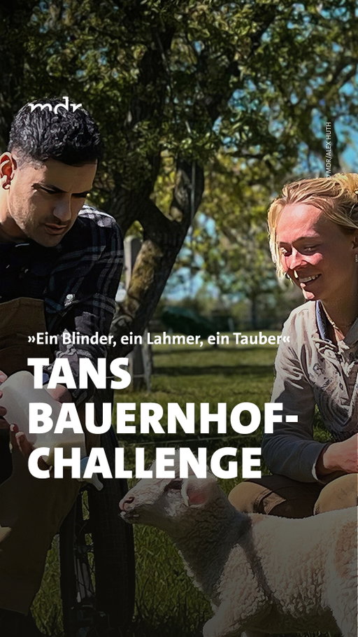 Drei Comedians, drei Behinderungen, drei völlig neue Herausforderungen.

In der Comedy-Doku „Ein Blinder, ein Lahmer, ein Tauber – Die behinderte Job-Challenge“ fordern sich die drei Comedians @tan_caglar​, @okan_seese​ und @timur.turga gegenseitig heraus und verlassen dabei ihre Komfortzone.

Für Tan Çağlar geht es auf den Bauernhof. 🚜 Zwischen Rindern, Schafen und Bienen tauscht er den Comedy-Alltag gegen die Arbeit auf dem Land und stellt sich ganz neuen Aufgaben.

📺 Ob ihm der Job auf dem Hof liegt, seht ihr in „Ein Blinder, ein Lahmer, ein Tauber – Die behinderte Job-Challenge“ in der @ardmediathek​.