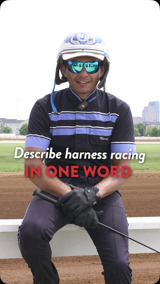 How would you describe harness racing in one word?