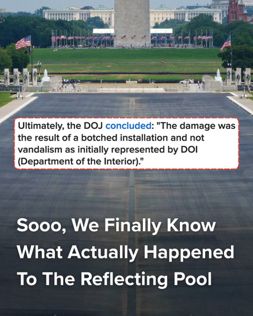 Let's dive right back into the saga of the disastrously botched paint job of the Lincoln Memorial Reflecting Pool! 
It all started when it was painted a shade of "American Flag Blue." The pool was then filled with water and almost immediately turned green. Then that paint started tearing off in chunks. Trump started blaming the damage on "vandals." On the 4th of July, Trump promised to "quickly drain and fix the damage done." They drained the pool and found... nothing. No gashes, no slashes... nada! That wasn't enough to stop the narrative, though. Trump quickly changed his story: The slashes were no longer 300 feet long, they were 300 yards long! Caught up in all of this was 3-time Olympic canoeist David Hearn, who was facing felony property destruction charges for "vandalizing" the pool. And now, in case you missed it in the Friday afternoon news dump, the Department of Justice is dropping all criminal charges against him because the vandalism never actually happened.
Read the full story at the link in bio. 

📷: Getty Images