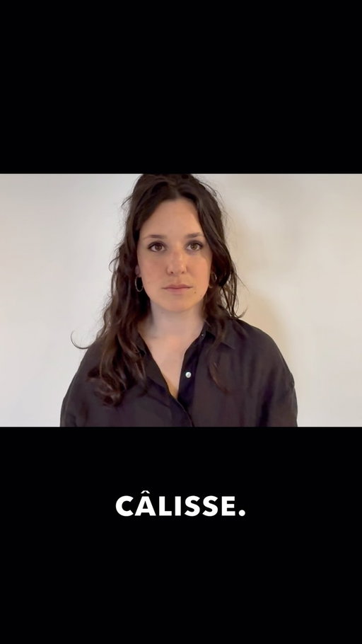 SELF TAPES VOLUME 2: Une année de self tapes qui n’ont abouti à rien sauf ce montage des meilleurs moments.