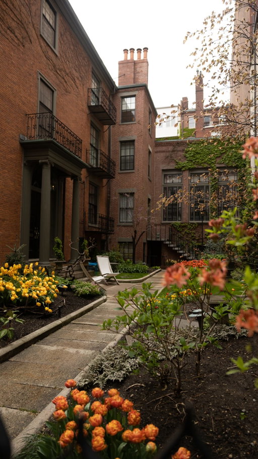 Doesn’t get any better than a stroll in Boston! Do you Agree? ✨🤍☺️ #cornersofboston 

I love sharing these cozy corners with you cuties, so make sure to follow along for more New England and Boston scenic charm.

Cheers bbs

Boston Guide / Boston Travel / New England 
#travel #boston #photography #nature