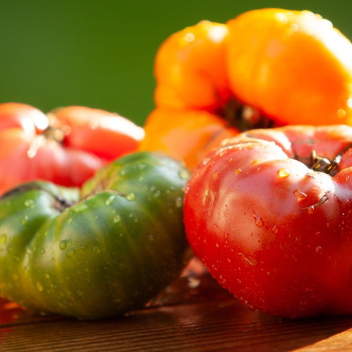 ⭐ 🍅 Tomato Season Is Here

Heirloom tomatoes are at their peak—vibrant, juicy, and full of summer flavor. From colorful slices with flaky salt to salads, sandwiches, and simple pasta, now's the time to enjoy them. Stop in and explore our fresh selection while the season lasts.

Find your favorite variety in-store today.

#UnionMarketNYC #UnionMarketNYCSeasonal #GoodFoodMatters #EatWithCare #NYCEats