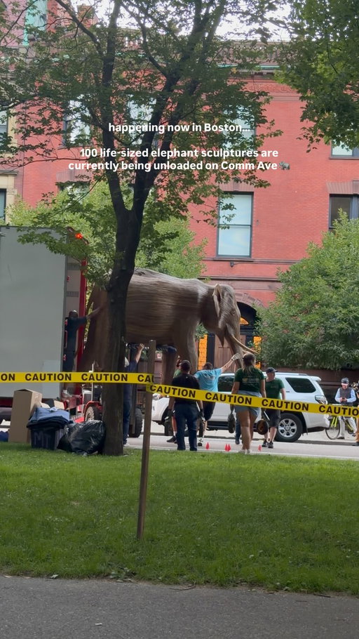 Moving trucks blocking the streets in Boston? Typical. For giant elephants? Well, this is a first 🙂🐘

Set up is currently underway in Back Bay for ‘The Great Elephant Migration’, where 100 life-sized elephant sculptures will line the Commonwealth Avenue Mall for 5 blocks as part of a global fundraising initiative 🌳 Everything we know via link in bio 🔗

🎥: @nicole.rosania