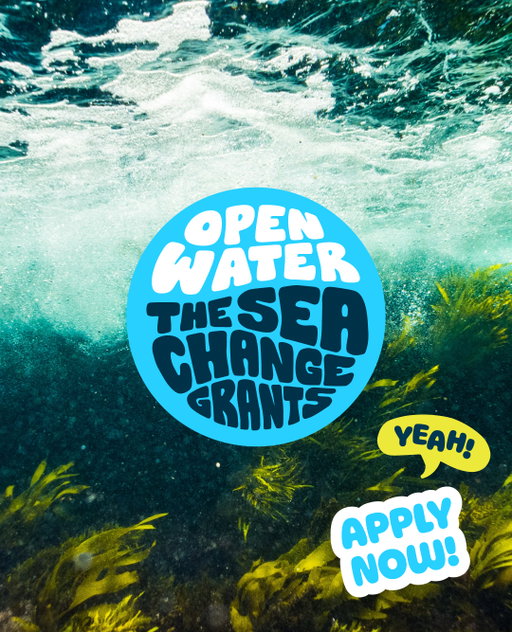 🌊🪸🦪⁠
OUR 2026 SEA CHANGE GRANTS PROGRAM IS OFFICIALLY OPEN FOR APPLICATION SUBMISSIONS!⁠
⁠
Sea Change Grants is our grant program dedicated to supporting grassroots ocean conservation efforts in the U.S. ⁠
⁠
This year we’re focused on supporting organizations whose mission involves restoring aquatic habitats — rivers, lakes, wetlands, coastlines, and ocean ecosystems. Think mangrove forests, coral reefs, oyster reefs, kelp forests…but don’t stop there…don’t limit yourself to ocean coastlines…think lake shoreline restoration, stormwater management improvement, urban waterway and fish passage restoration, or even invasive species removal.⁠
⁠
Then stop thinking and get to applying or sharing this post with that ocean-conservation-loving friend of yours so they can apply.⁠
⁠
This is literally Open Water's reason for existence, and we cannot wait to start reviewing applications.⁠
⁠
🔗See the link in bio for more details and the full application.⁠