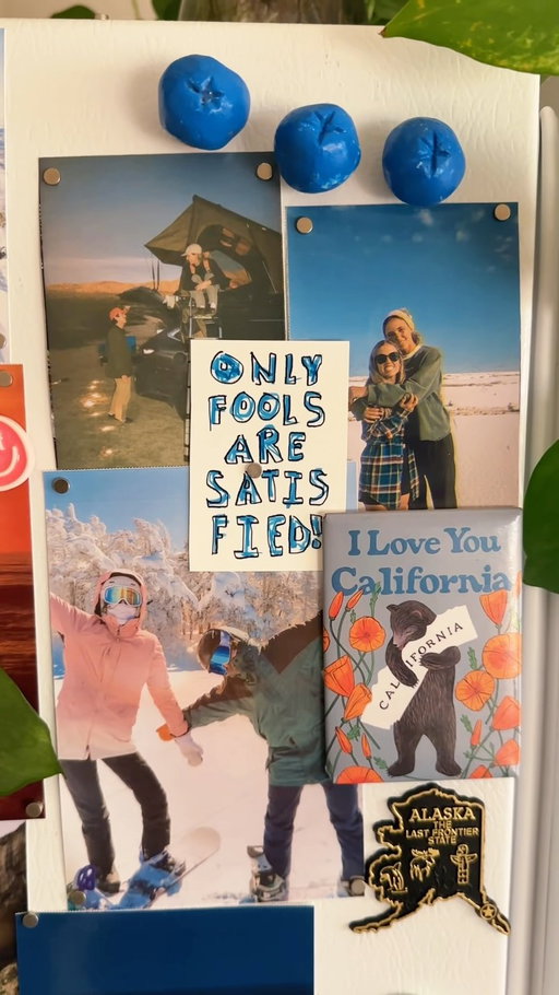 heard we were giving fridge tours