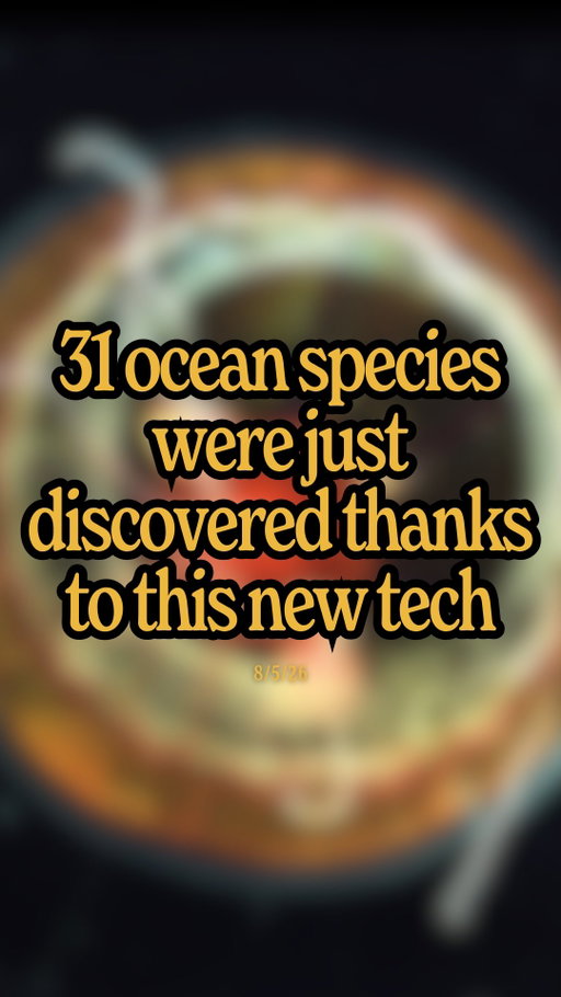 31 new species were just discovered in the ocean’s midwater thanks to amazing new tech… imagine if we prioritized building more solutions like these to learn about & protect our fellow species 🤩