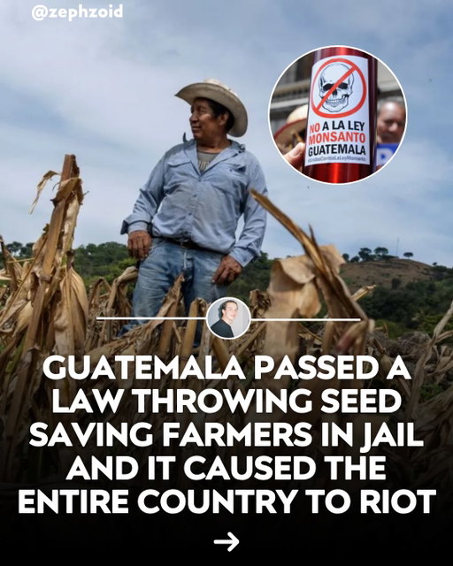 In 2014, Guatemala’s legislature quietly passed a law making it a crime for farmers to save and share their own seeds without a permit.

Indigenous and campesino groups saw it as handing the country’s seed supply to multinational companies and protested for ten straight days.

Facing that pressure, lawmakers repealed the law by a landslide vote weeks later.

One of the clearest wins farmers have had against corporate control of seed.

Support seed sovereignty, shop small farms on Localize.