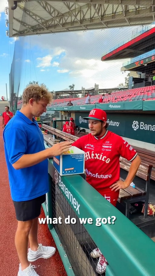 Do you like sunflower seeds? @baueroutage
