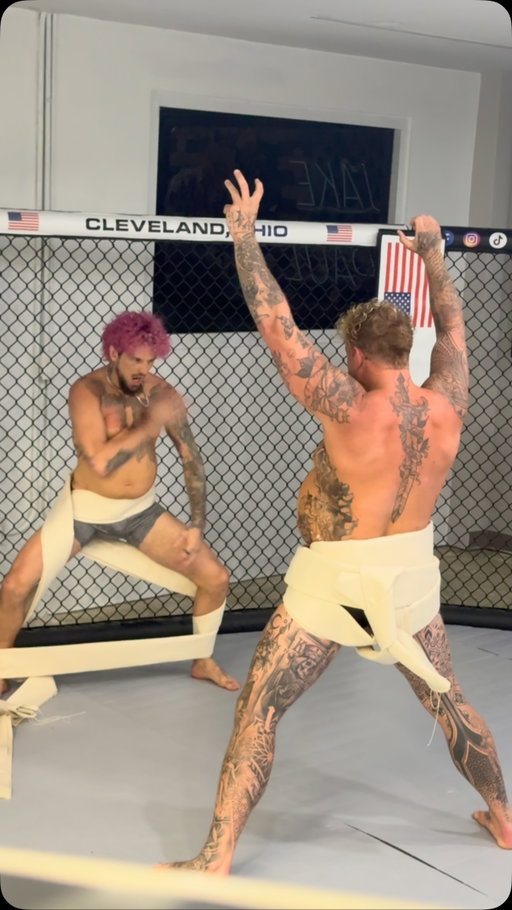 Mano v Mano