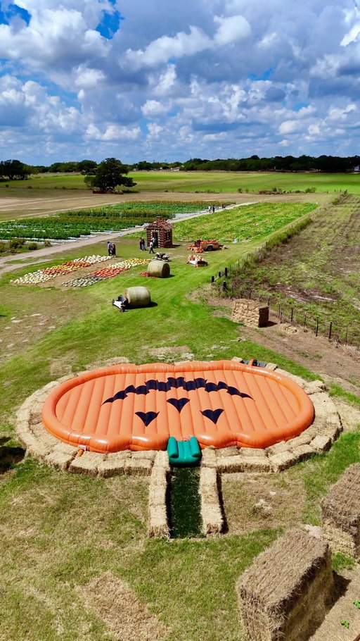 🎃 BEST PUMPKIN PATCHES IN TEXAS! 🎃

✨ FULL LIST BELOW ✨ Fall will be here before we know it, so it’s never too early to start planning! 🍂

🍁 Save this post for your fall bucket list and tag your pumpkin patch crew!

(VIDEO CLIPS) 
🎃 @westernbellefarm – West, TX (north of Waco) 
🎃 @devine_acres_farm – Devine, TX

(Austin / San Antonio Areas)
🎃 @sweetberryfarm – Marble Falls, TX
🎃 @sweeteatsfruitfarm – Georgetown, TX
🎃 @graff7aranch – Hondo, TX
🎃 @indianspringsranch – Travis County, TX
🎃 @texaspumpkinfest – Leander, TX
🎃 @jenschkeorchards – Fredericksburg, TX
🎃 @owl_creek_farm_sa – San Antonio, TX
🎃 @tradersvillage_sa – San Antonio, TX
🎃 @uhlandfallfest – Kyle (Uhland), TX
🎃 @roundrockpumpkinfestival – Round Rock, TX
🎃 @bellcreekacres – Castroville, TX
🎃 @sundropsprings – New Braunfels, TX

(Dallas / Fort Worth / North Central Texas Areas)
🎃 @therobinsonfamilyfarm – Temple, TX
🎃 @thedallasarboretum – Dallas, TX
🎃 @hallspumpkinfarm – Grapevine, TX
🎃 @pumpkinnights – Arlington, TX
🎃 @yesterlandfarm – Canton, TX (near Dallas)
🎃 @mainstayfarmpark – Cleburne, TX (south of Fort Worth)
🎃 @blasefamilyfarm – Rockwall, TX
🎃 @maxwellspumpkinfarm – Amarillo, TX
🎃 @shadowcreekpumpkin – Midlothian, TX
🎃 @jacksboropumpkinpatch – Jack County, TX
🎃 @dentonvalleyfarms – Clyde, TX

(Houston Area)
🎃 @blessingtonfarms – Wallis, TX
🎃 @frobergsfarm – Alvin, TX
🎃 @dewberryfarmtexas – Brookshire, TX
🎃 @p6farms – Montgomery County, TX
🎃 @oldtimechristmastreefarm – Spring, TX
🎃 @7acrewood – Conroe, TX

(Corpus Christi Area)
🎃 @rockinkfarms – Robstown, TX

(South Texas Area)
🎃 @thetranch – La Feria, TX
🎃 Big Red’s Ranch – San Benito, TX

(East Texas)
🎃 @pineypark – Marshall, TX
🎃 @blueberryridgeorganicfarm – Mineola, TX

(West Texas)
🎃 @atldofarms – Lubbock, TX
🎃 Assiter Punkin Ranch – Floydada, TX
🎃 @fiddlesticksfarms – Midland, TX

#pumpkinpatch #texastodo #thingstodointexas #texas