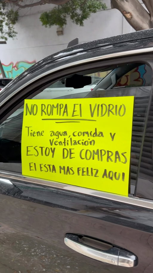 Que maltrato!! 😡

Qué coraje que no dejaron unas cervezas a la mano 😣