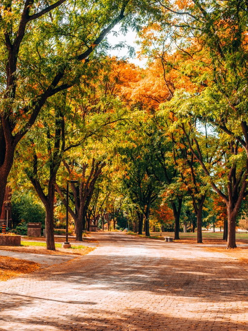 Heard we were reminiscing on fall of 2022. 👀🍂