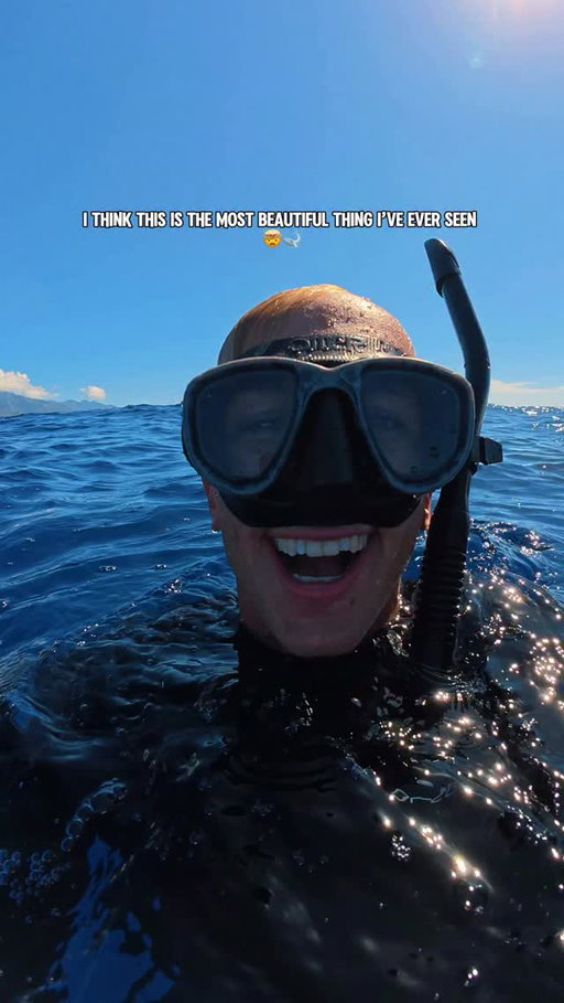 one of the best days of my life ⚡️🐋🤯

Our 2026 season is already off to an incredible start, and
 we’re so grateful for all of the ocean blessings we’ve experienced so far. 

Every day out here is a reminder of just how wild and special this place really is.

If swimming with humpback whales is on your bucket list, DM me the word “WHALE” to be the first to know about pre-sale access to our 2027 Polynesia Humpback Whale Expeditions before spots are released publicly. 🐋

.
#whale #humpbackwhale #polynesia #swimwithwhales