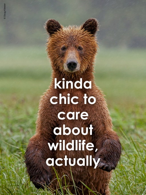 tried the "kinda chic" trend. accidentally wrote our mission statement. swipe → 🌎