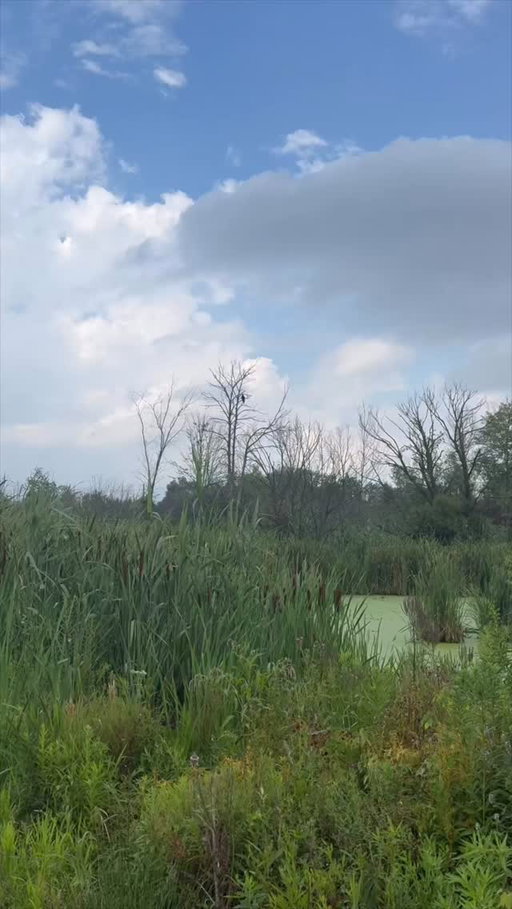 Stories by makeupbycherylh on Aug 6, 2026