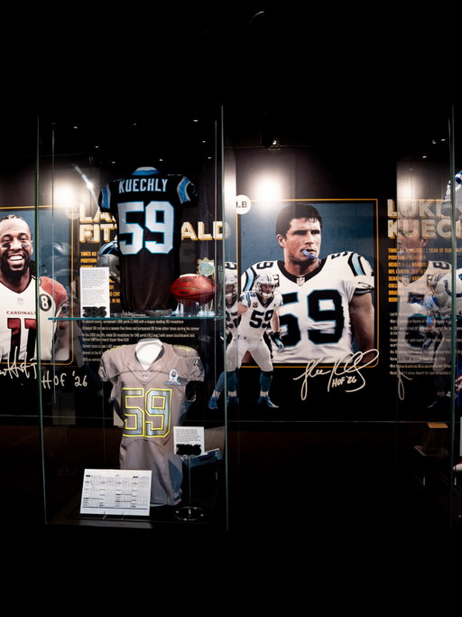 This just looks right in the Pro Football Hall of Fame