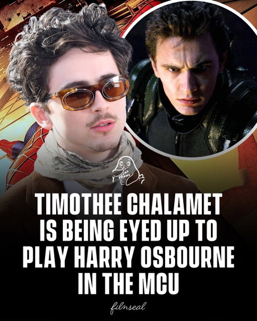 🚨 Timothée Chalamet is reportedly being considered for the role of Harry Osborn in the MCU! 🕷️

The Oscar-nominated star has long been a fanfavorite choice for Peter Parker’s best friend-turned-enemy, and the latest rumors have reignited speculation that Chalamet could finally be joining the Spider-Man universe. Tom Holland has even previously said he’d like to see Chalamet play Harry. 👀

Nothing has been confirmed by Marvel or Sony yet, but could Timothée Chalamet be the MCU’s Harry Osborn? 🕷️🔥

#timothéechalamet #tomholland #mcu #spiderman