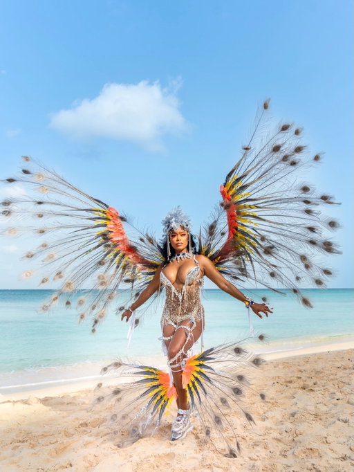 BARBADOS 🇧🇧 — i’m never leaving 😍

I could not sum up this experience in 20 slides, sooo i’ll be back for more. Thank youuuuu 💙💛🖤
@visitbarbados x @theoxtailoff @vidabyesquire @thebtmi
#VisitBarbados 
#CROPOVER2026
📸 @phillenbreezy