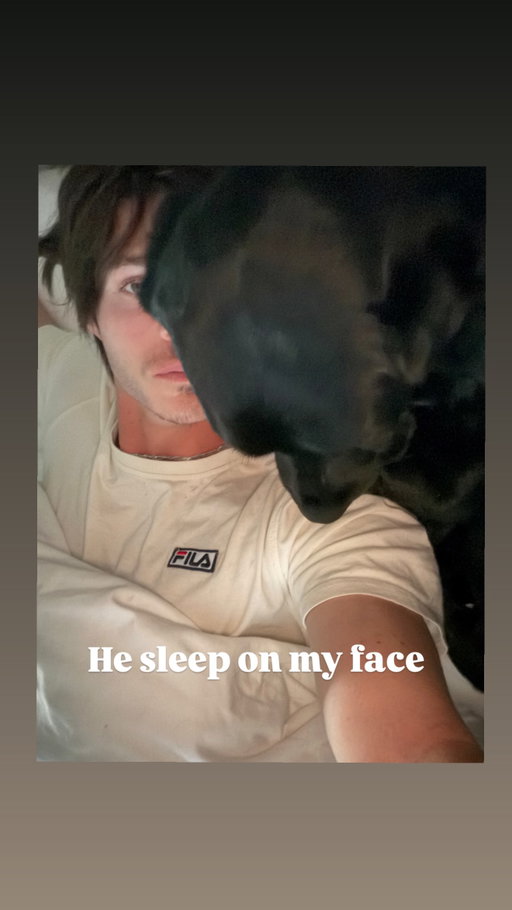 Story by willpeltz on Aug 7, 2026