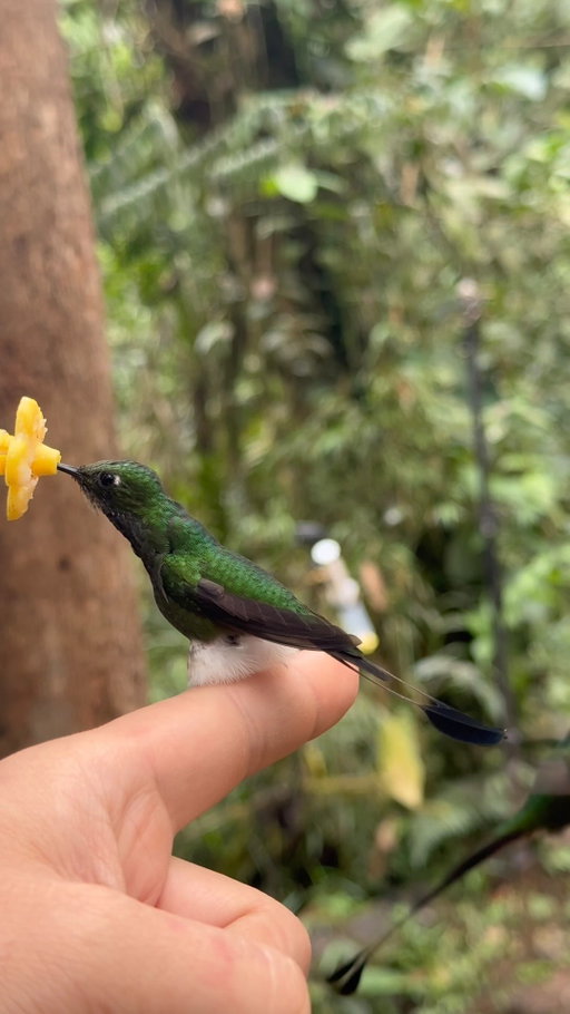 a moment for the fluffy boots⁣
⁣
#InTheMoment⁣
⁣
Video by @yammo