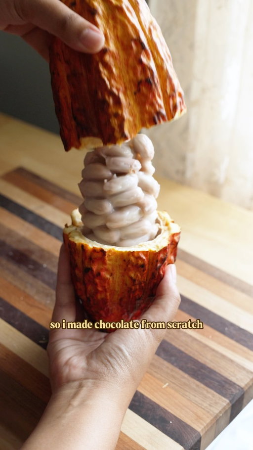 HOMEMADE CHOCOLATE (part 2)

edit: i just realized a mistake in my overlay text! i roasted them at 300F, not 350F :)

--

I tried rewriting the script a million times to condense this series into two parts, but I just had so much to say! Hopefully there will only be one more part 💀

For @ctahr’s pdf, my blog post about making small batch chocolate, AND a link to get cacao seeds (for $10 off!), comment “LINK” and I’ll DM you :)

#BitesByBianca #HomemadeChocolate @miamifruit #NYCCreator