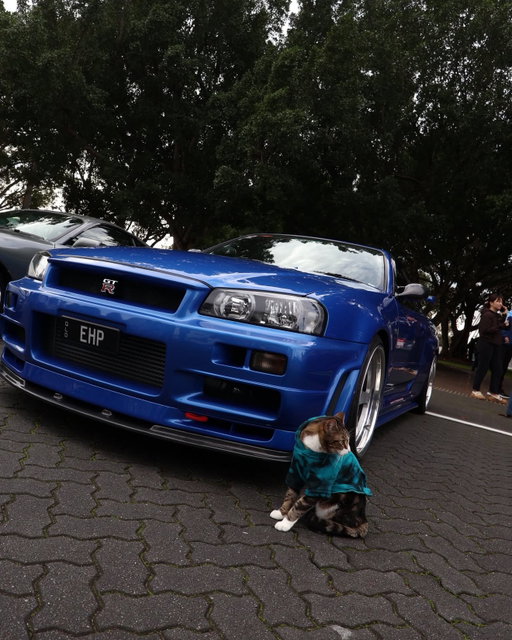 Cat says: purr-fect car. ✅🐈 Happy #InternationalCatDay! 
 
📷: @milo.adventuress

#Nissan  #NissanSkyline