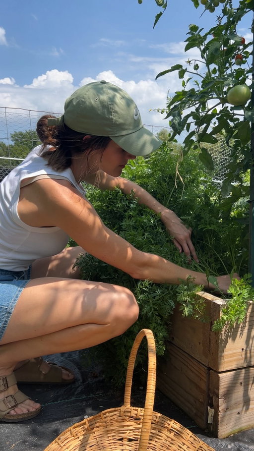 Follow for more gardening inspo. 🥕🍅🌻

also S/O to my toddler for the sick shades. 

#gardeninglife #gardenfunnies #gardening