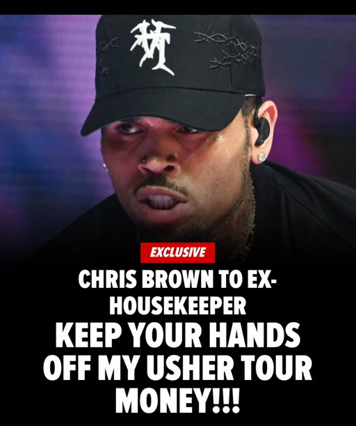 Story - Chris Brown is fighting his former housekeeper’s efforts to redirect his profits from his tour with Usher into her pockets ... as she tries to collect on her nearly $13 million judgment from a lawsuit Chris lost.

The singer filed court docs, obtained by TMZ, objecting to Maria Avila’s moves in court to have all of his present and future income assigned to her — including his tour money and royalties — until the 8-figure debt is satisfied.

As we reported ... Maria was awarded the massive judgment after her lawsuit against Chris over a 2020 dog attack at his Los Angeles mansion. She claimed the dog viciously attacked her and caused severe injuries.

Chris denied claims of wrongdoing, claiming Maria provoked the dog ... but a jury ultimately sided with Maria following a trial.

In his new filing, Chris said Maria’s effort to grab all of his current and future income is way too broad ... and well beyond what she can get under the law.

Maria previously claimed in her papers Chris had made no effort to satisfy the judgment, prompting her to pursue these collection efforts in court.