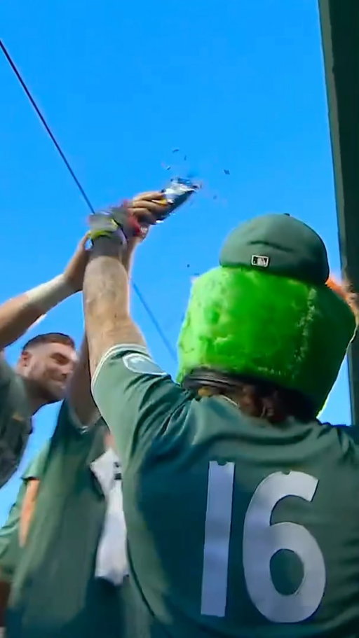 No. 16 for 16!