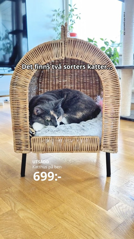 Vi alla vet väl en katt som älskar kartong? 😅😉

#IKEA #IKEASverige #internationellakattdagen #internationalcatday