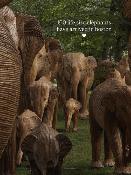 #2835 here’s what you need to know about the great elephant migration public art exhibit now on display in boston’s back bay 🐘 #bucketlistboston 

🗓️ august 8 - september 13
📍 comm ave mall starting at exeter st
🎟️ free to all!