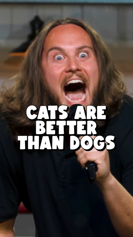 Happy International Cat Day 🐱 #catsofinstagram #catpeople #funnycats #standupcomedy