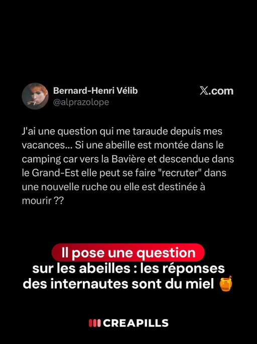 La question est intéressante. Les internautes ont butiné leurs meilleures réponses 🐝