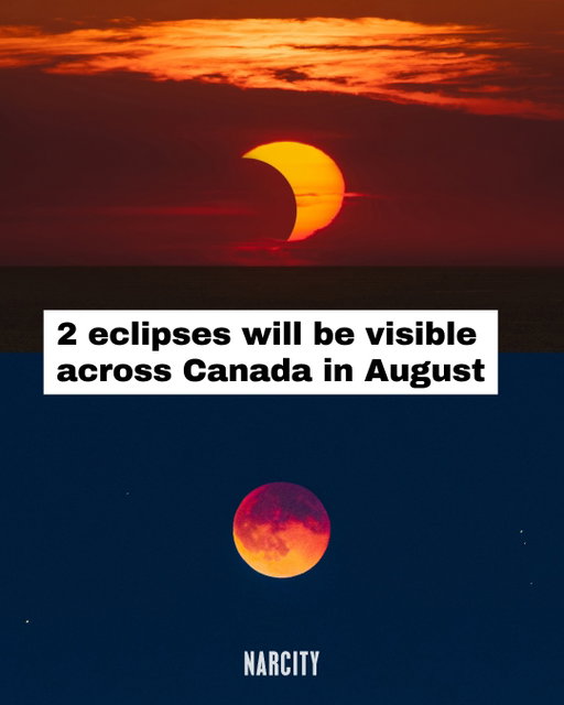Canada's skies will be graced by two different eclipses in August, starting with a partial solar eclipse this week. 🌒

This Wednesday, August 12, most of Canada will get at least some of the eclipse, but the view gets dramatically better the farther north and east you go. Major cities range from just 2% of the sun obscured in Calgary and 8% in Toronto to 31% in Halifax and 53% in St. John's, while Vancouver is one of the few spots that will miss it altogether.

Then, overnight on August 27-28, all of Canada will be in the path of a lunar eclipse, with the best views expected in central and eastern Canada. The eclipse peaks at 12:12 a.m. ET (or the equivalent in your local time zone), when about 96% of the moon will be covered by Earth's shadow and take on a reddish "blood moon" glow.

More on how and when to catch these two natural phenomena at the link in the @narcitycanada bio.

📸: Sirboumanphoto | Dreamstime, Luca Gialdini | Dreamstime