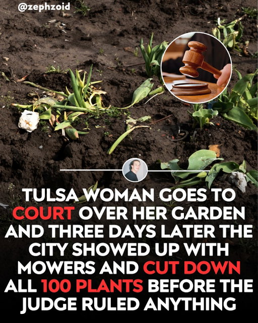 Tulsa resident Denise Morrison said her edible landscape complied with the city’s height exception for food plants.

After a court date was postponed, city crews cut down more than 100 varieties before she could argue her case, according to reporting on her lawsuit.

The dispute raised a basic food-security issue: edible yards are not merely decoration for people relying on them.

Support Edible Landscapes And Home Growers On Localize.