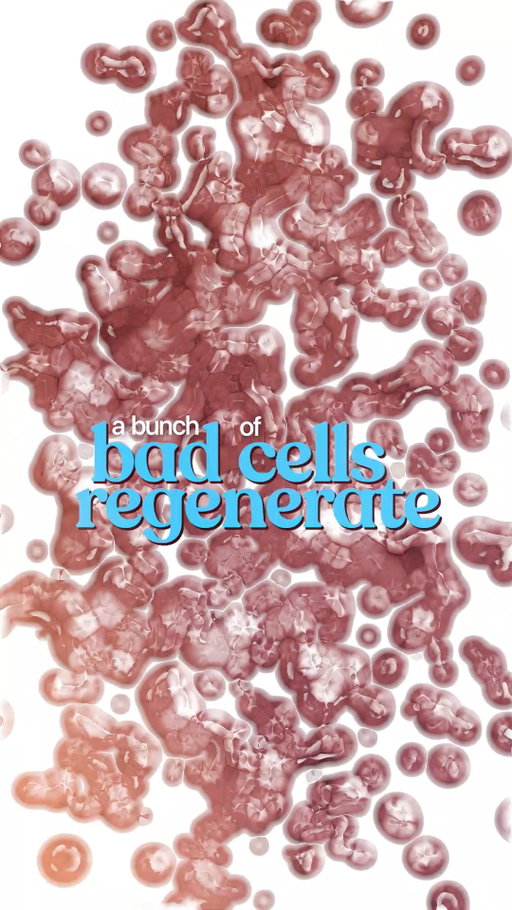 Regeneration isn't just about creating more cells.

The condition of those cells matters too. That's why cellular optimization and communication come first.

#CellularHealth #Regeneration #Longevity #Mitochondria
