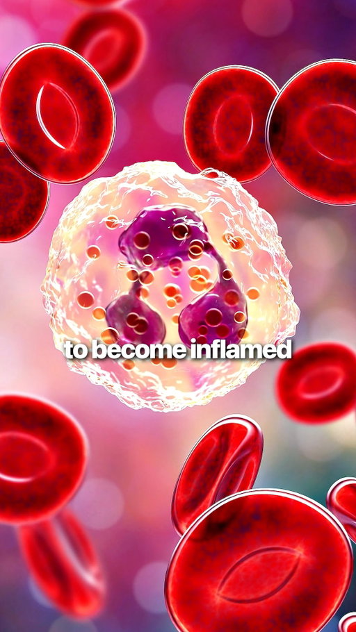 Aging isn't just about getting older. It's also about how your cells communicate.

Here's why cellular signaling is becoming an important area of research in longevity.

#longevity  #cellularhealth  #healthyaging  #healthspan