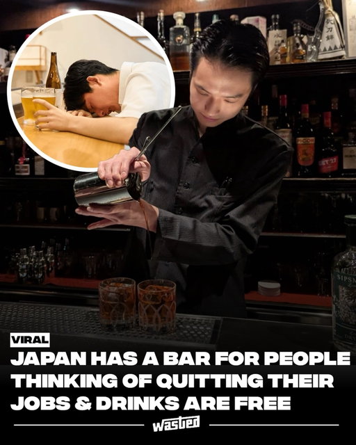 In Japan, a unique bar has emerged, specifically catering to individuals contemplating job changes. The bar offers complimentary drinks, creating an inviting atmosphere for patrons to discuss their work frustrations and explore career options without the financial burden of bar tabs. The staff is trained to provide empathetic listening, fostering a space where individuals can openly express concerns that may be stigmatized in Japanese work culture.

This concept aligns with broader social trends in Japan, where long working hours, rigid hierarchies, and intense job expectations have sparked discussions about work-life balance and mental health. By eliminating financial barriers and providing a supportive environment, the bar aims to normalize conversations about career dissatisfaction and encourage patrons to reflect on their true aspirations, even if that means embarking on a new career path.