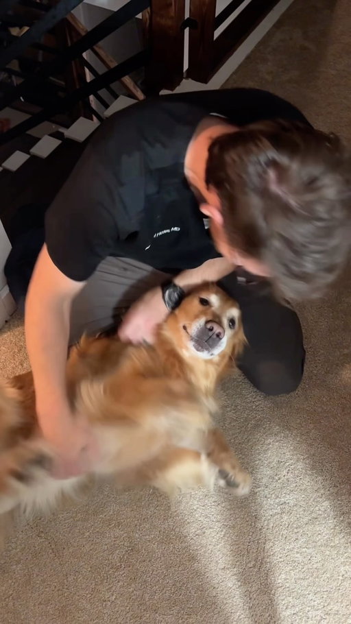 A few months ago I suprised my husband with a dog, safe to say he was very excited 😂. We’ve always wanted one but none of the places we rented allowed pets. When I learned a family was looking to rehome Cooper we decided to pet sit him for the weekend to make sure it was a good fit. I went and got him up while my hubby was at work and immediately fell in love and knew I wanted to adopt him. My kids still just thought we were babysitting but stay tuned for their reaction to finding out we were keeping him cause it was the CUTEST ever.🥰
Cooper is the sweetest pup and we are so glad we got to adopt him!

#suprise  #petadoption #newdog #goldenretrieverworld