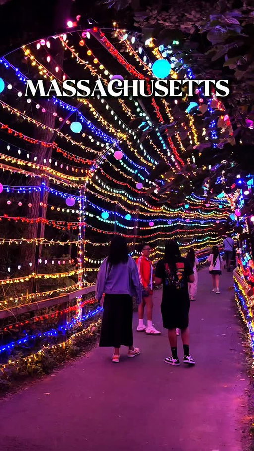 Boston Lights is back in a few days and she is more magical than ever 🏮✨ Franklin Park Zoo transforms into a glowing wonderland of giant handcrafted lanterns from August 14 through November 8 and this year’s theme is absolutely breathtaking 🌊🐆 think coastal South Africa with penguins and great white sharks, majestic big cats including jaguars, lions, snow leopards and cheetahs, the flora and fauna of the Grand Canyon, glowing ocean depths filled with tropical fish and sea horses, and nearly 100-foot-long illuminated tunnels of bamboo and peacock feathers 🦚🌺 it is a 1.5 mile loop of pure magic through Franklin Park Zoo and every single lantern is handcrafted in the ancient Chinese tradition from Zigong, the lantern capital of the world! Open Thursday through Monday through September, then nightly starting October 1st! Keep in mind certain days they’re closed such as August 16 🌟 @zoonewengland