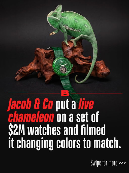 This lizard’s color matching skills are S-tier 😳