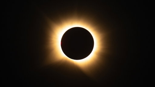 When the Moon and Sun align

This rare sight — a total solar eclipse — was photographed in San Millán de los Caballeros, Spain, on Aug. 12.

The Sun is 400 times wider than the Moon, but in a cosmic coincidence, it's also 400 times further away. This means that they appear to be the same size in our sky — and when the Moon passes in front, it can perfectly block the Sun.

Credit: NASA

#NASA #Eclipse #TotalSolarEclipse