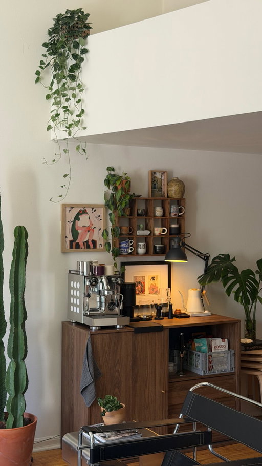 My three favorite things in my house🏡🌵
#ad
Click the link or search my code ��knb9795 on the TEMU App to get it!
product link: https://app.temu.com/k/pmlq866ppxv
T&Cs apply. #ad #temuhomefinds #shoptemu