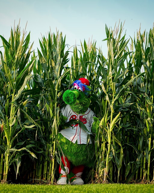 ⚾️🌽🏠⁉️