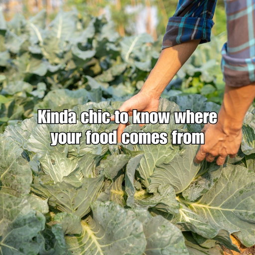Supporting local looks good on you. 😉