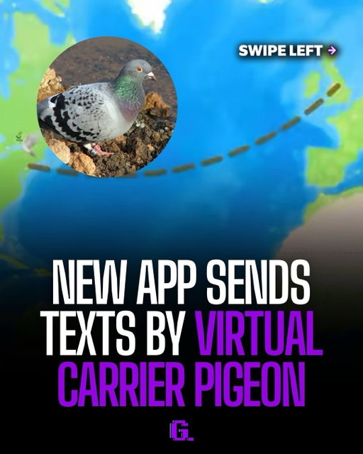 Carrier Pidge makes your messages fly at 110 mph based on real GPS distance — a text across town lands in seconds, but across the country takes hours, and overseas takes days 🐦📱

There’s also a 0.2% chance your pigeon just dies mid-flight and your message never arrives. the dev admits it has “genuinely no practical use” and built it anyway

Via: noah_bino/x