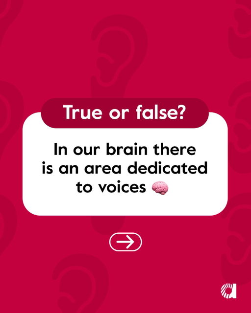 Our brains are remarkable 🧠 ​Did you know they have specialised areas dedicated to recognising and processing voices?​

 That's why hearing isn't just about detecting sounds, it's also about understanding who's speaking and following conversations with ease.​

Looking after your hearing means helping your brain stay connected to the voices that matter most. 💙👂​

#hearingfacts